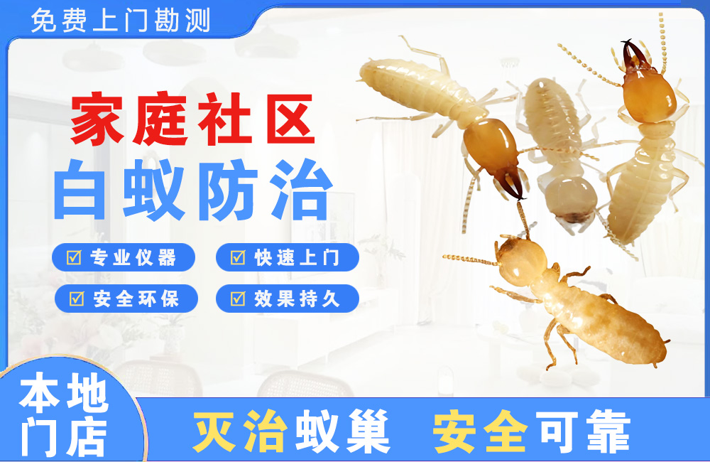 东台家庭社区白蚁防治