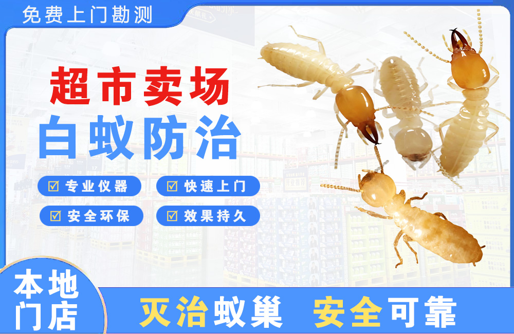东台超市卖场白蚁防治