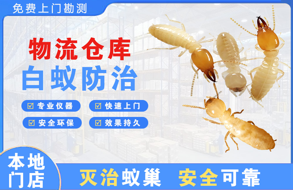 东台物流仓库白蚁防治