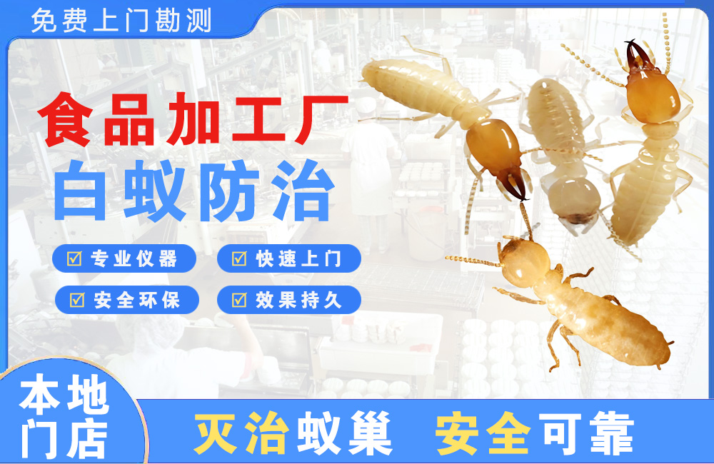 东台食品加工厂白蚁防治