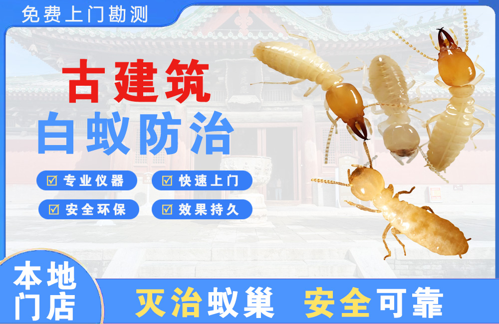 东台古建筑白蚁防治