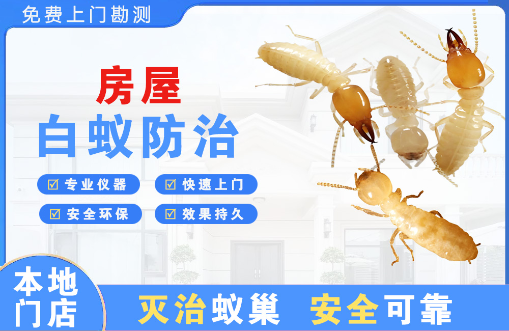 东台房屋白蚁防治