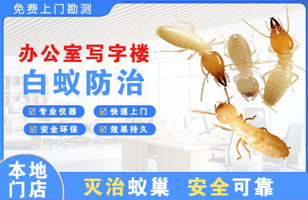 东台办公室写字楼白蚁防治
